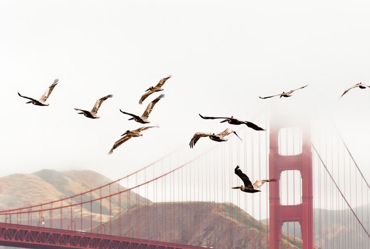 bridge